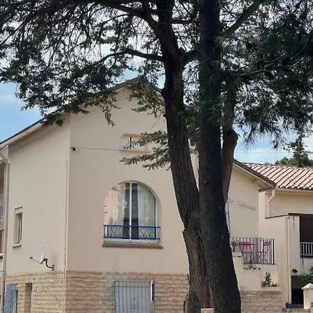 Grand F3 Vue Centre Proche Commerces *